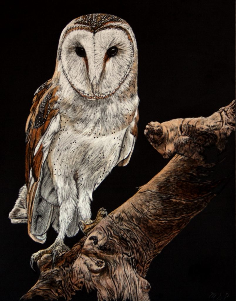 Birds Eye View, 2017 - Margaret Pardy