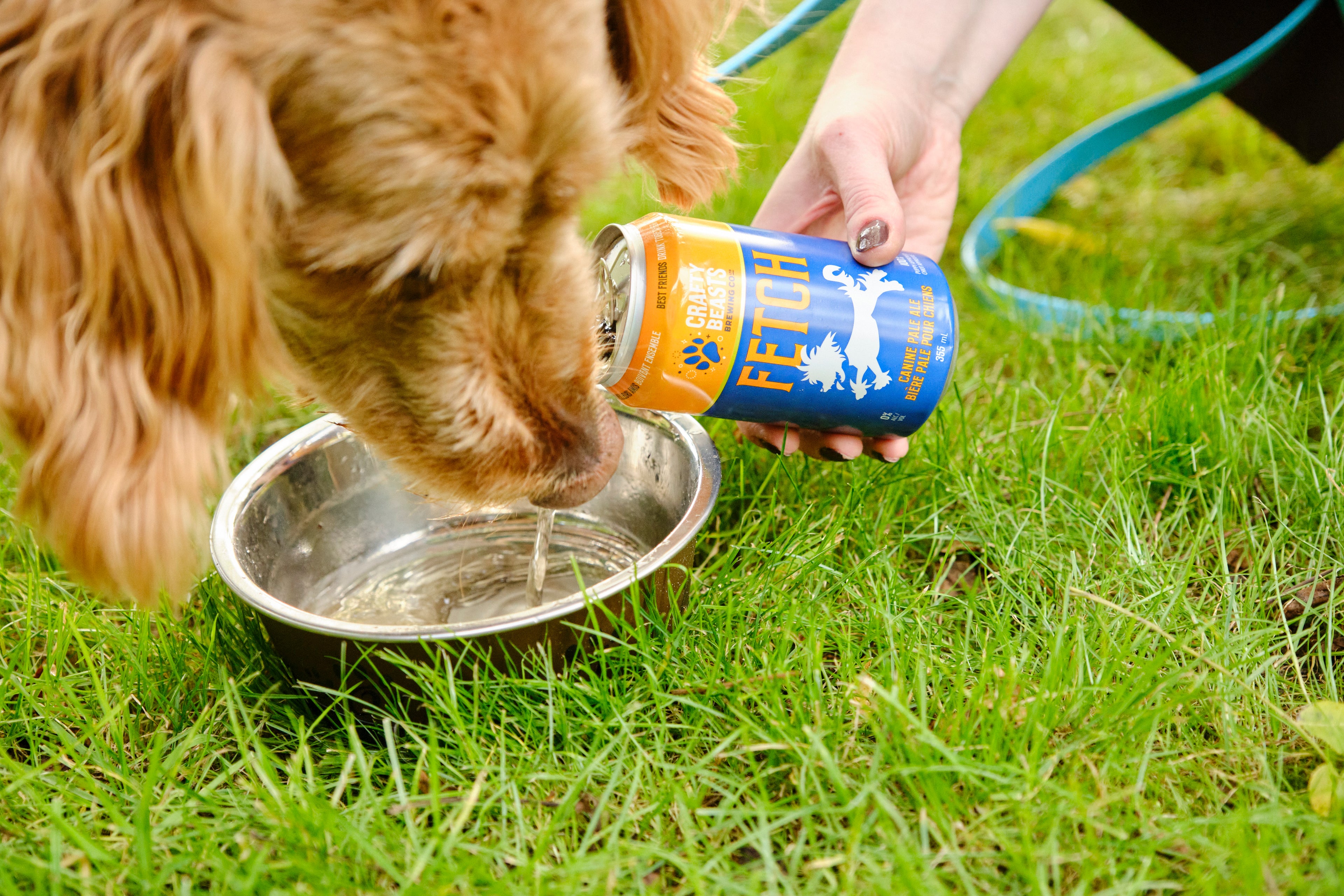 Crafty Beasts Brewing Co. Dog Beers