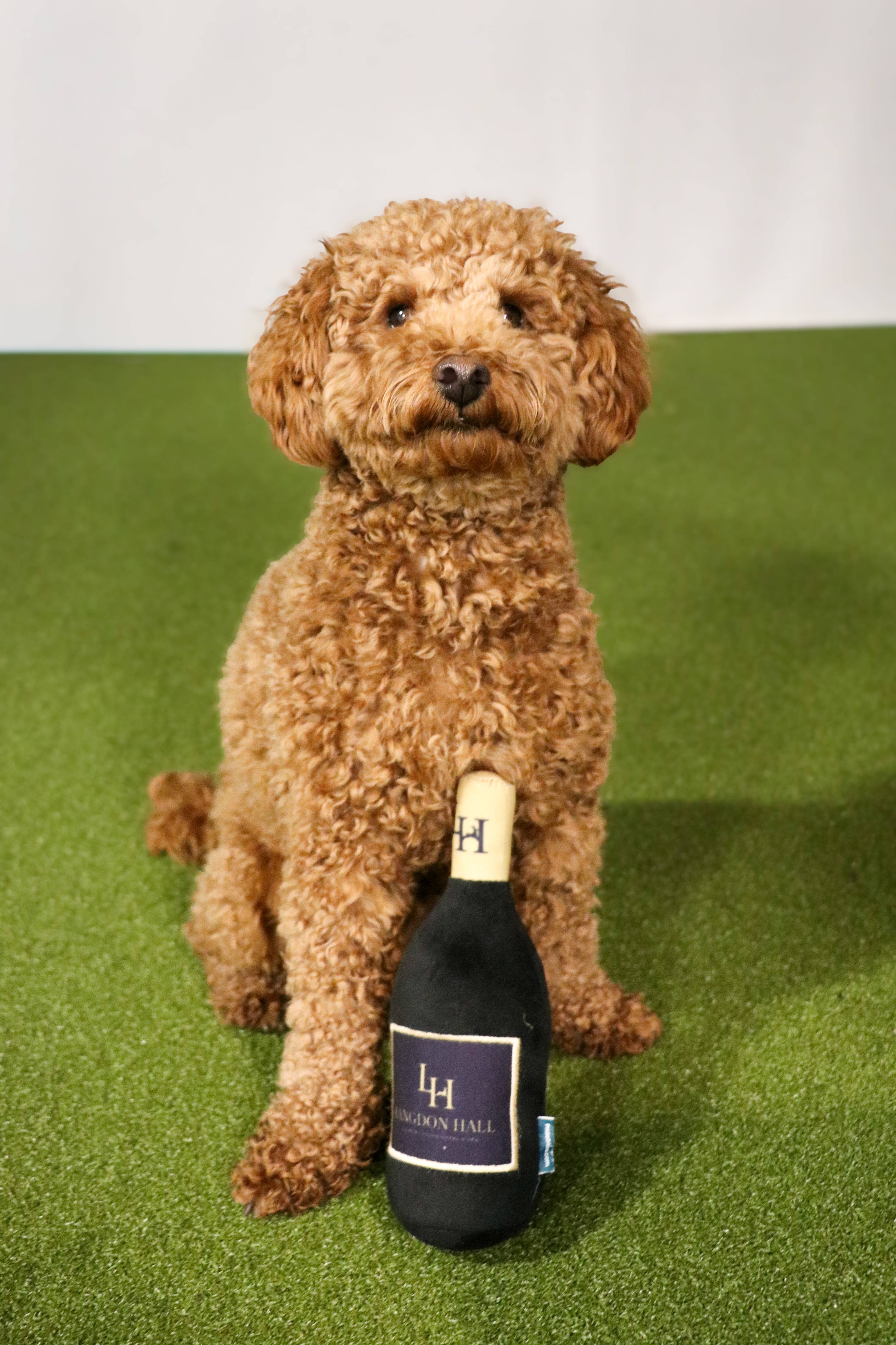 LH Wine Bottle Dog Toy