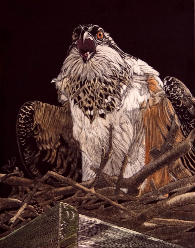 Protecting the Nest, 2013 - Margaret Pardy