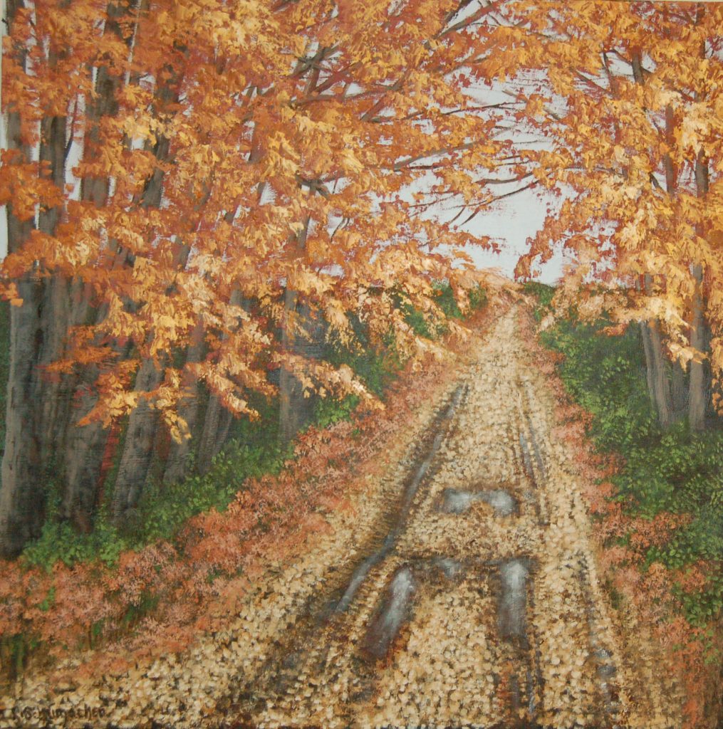 Rain Puddles - Lynne Schumacher