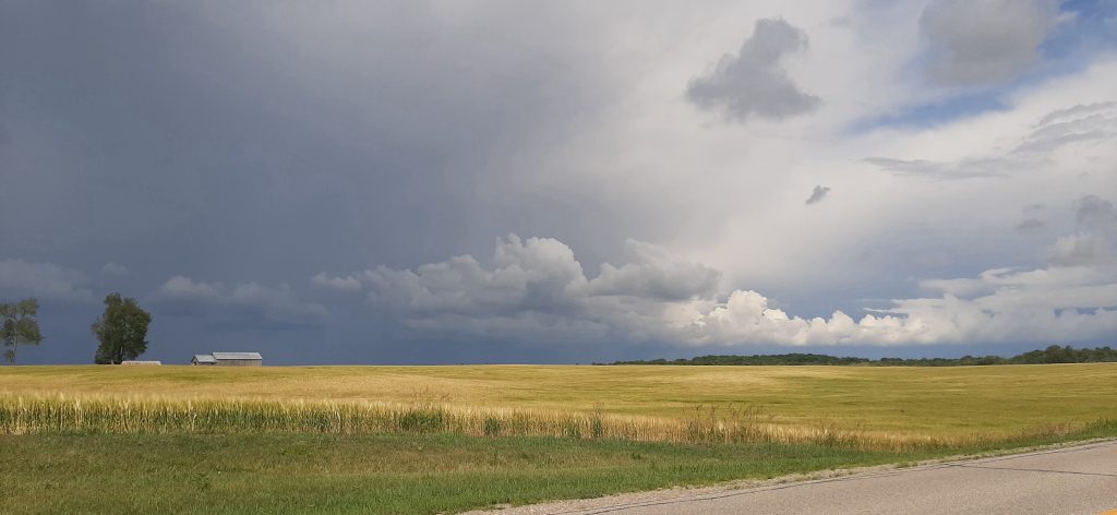 Storm Front, 2021 - Connie Munson