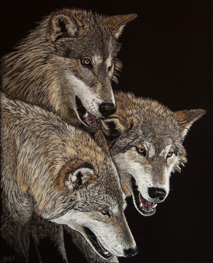 The Pack, 2016 - Margaret Pardy